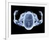 Skeleton From Above, X-ray Artwork-David Mack-Framed Photographic Print