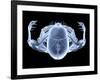 Skeleton From Above, X-ray Artwork-David Mack-Framed Photographic Print