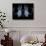 Skeleton From Below, X-ray Artwork-David Mack-Photographic Print displayed on a wall