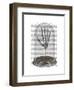 Skeleton Hand in Bell Jar-Fab Funky-Framed Art Print