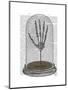 Skeleton Hand in Bell Jar-Fab Funky-Mounted Art Print