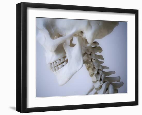 Skeleton head-Robert Llewellyn-Framed Premium Photographic Print