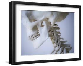 Skeleton head-Robert Llewellyn-Framed Premium Photographic Print