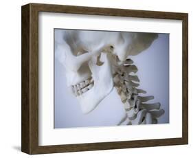 Skeleton head-Robert Llewellyn-Framed Photographic Print