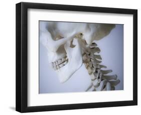 Skeleton head-Robert Llewellyn-Framed Photographic Print