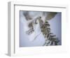 Skeleton head-Robert Llewellyn-Framed Photographic Print