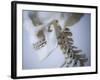 Skeleton head-Robert Llewellyn-Framed Photographic Print