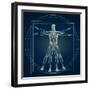 Skeleton In Vitruvian-Orla-Framed Art Print