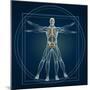 Skeleton In Vitruvian-Orla-Mounted Art Print