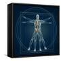 Skeleton In Vitruvian-Orla-Framed Stretched Canvas