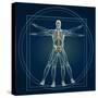 Skeleton In Vitruvian-Orla-Stretched Canvas