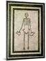 Skeleton of a Cupbearer-Roman-Mounted Giclee Print