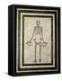 Skeleton of a Cupbearer-Roman-Framed Stretched Canvas