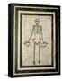 Skeleton of a Cupbearer-Roman-Framed Stretched Canvas