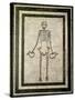 Skeleton of a Cupbearer-Roman-Stretched Canvas