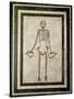 Skeleton of a Cupbearer-Roman-Stretched Canvas