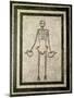 Skeleton of a Cupbearer-Roman-Mounted Giclee Print