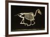 Skeleton of a Running Horse-null-Framed Photographic Print