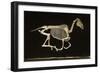 Skeleton of a Running Horse-null-Framed Photographic Print