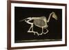 Skeleton of a Running Horse-null-Framed Photographic Print