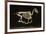 Skeleton of a Running Horse-null-Framed Photographic Print