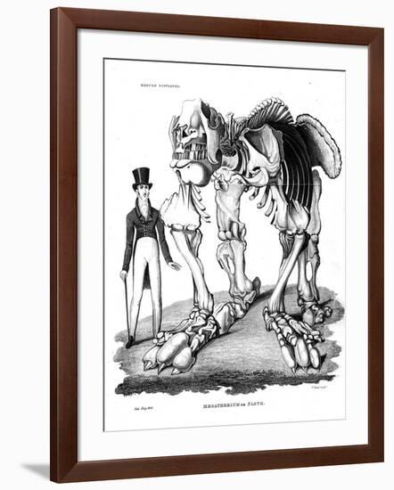 Skeleton of Megatherium, Extinct Giant Ground Sloth, 1823-null-Framed Giclee Print