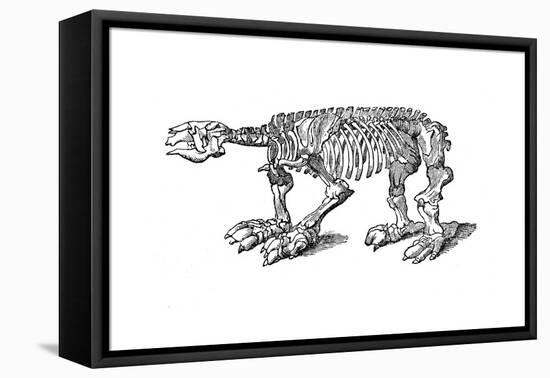 Skeleton of Megatherium, Extinct Giant Ground Sloth, 1833-Jackson-Framed Stretched Canvas
