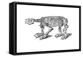 Skeleton of Megatherium, Extinct Giant Ground Sloth, 1833-Jackson-Framed Stretched Canvas