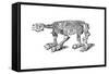 Skeleton of Megatherium, Extinct Giant Ground Sloth, 1833-Jackson-Framed Stretched Canvas