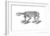 Skeleton of Megatherium, Extinct Giant Ground Sloth, 1833-Jackson-Framed Giclee Print