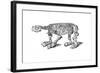 Skeleton of Megatherium, Extinct Giant Ground Sloth, 1833-Jackson-Framed Giclee Print