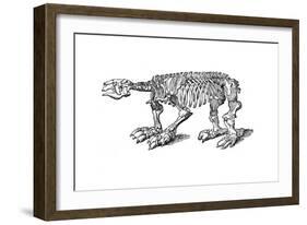 Skeleton of Megatherium, Extinct Giant Ground Sloth, 1833-Jackson-Framed Giclee Print