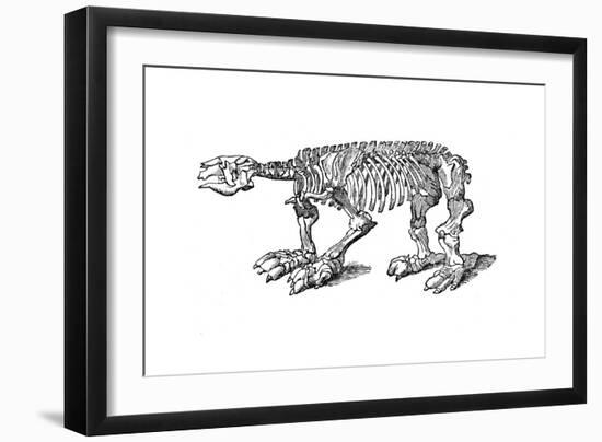 Skeleton of Megatherium, Extinct Giant Ground Sloth, 1833-Jackson-Framed Giclee Print