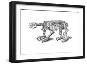 Skeleton of Megatherium, Extinct Giant Ground Sloth, 1833-Jackson-Framed Giclee Print