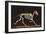 Skeleton of Running Horse-null-Framed Art Print