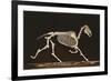 Skeleton of Running Horse-null-Framed Art Print