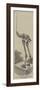 Skeleton of the Dinornis, in the Museum of the Royal College of Surgeons-null-Framed Giclee Print