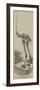 Skeleton of the Dinornis, in the Museum of the Royal College of Surgeons-null-Framed Giclee Print