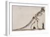 Skeleton of the Tyrannosaurus Rex, in the American Museum of Natural Histor-English School-Framed Giclee Print