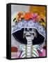 Skeleton on Day of the Dead Festival, San Miguel De Allende, Mexico-Nancy Rotenberg-Framed Stretched Canvas