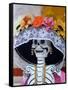 Skeleton on Day of the Dead Festival, San Miguel De Allende, Mexico-Nancy Rotenberg-Framed Stretched Canvas