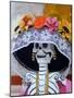 Skeleton on Day of the Dead Festival, San Miguel De Allende, Mexico-Nancy Rotenberg-Mounted Photographic Print