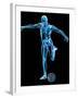 Skeleton Playing Football-Roger Harris-Framed Photographic Print