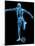 Skeleton Playing Football-Roger Harris-Mounted Photographic Print