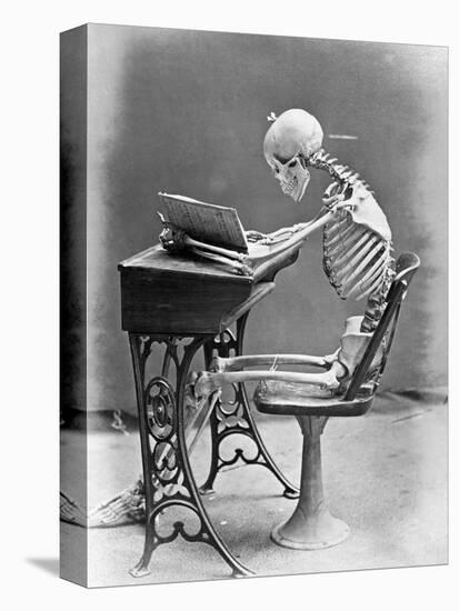 Skeleton Reading at Desk-Bettmann-Stretched Canvas