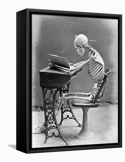 Skeleton Reading at Desk-Bettmann-Framed Stretched Canvas