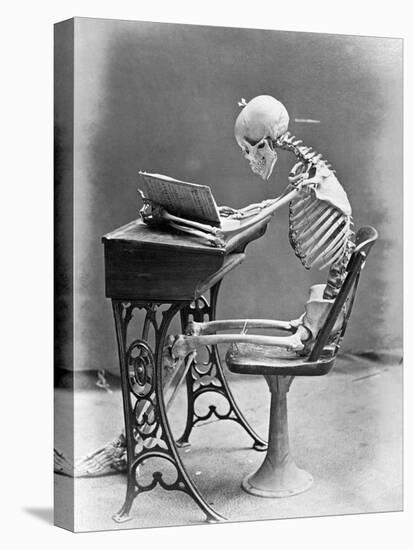 Skeleton Reading at Desk-Bettmann-Stretched Canvas