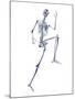 Skeleton Running-PASIEKA-Mounted Photographic Print