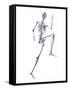 Skeleton Running-PASIEKA-Framed Stretched Canvas