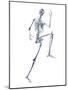 Skeleton Running-PASIEKA-Mounted Photographic Print